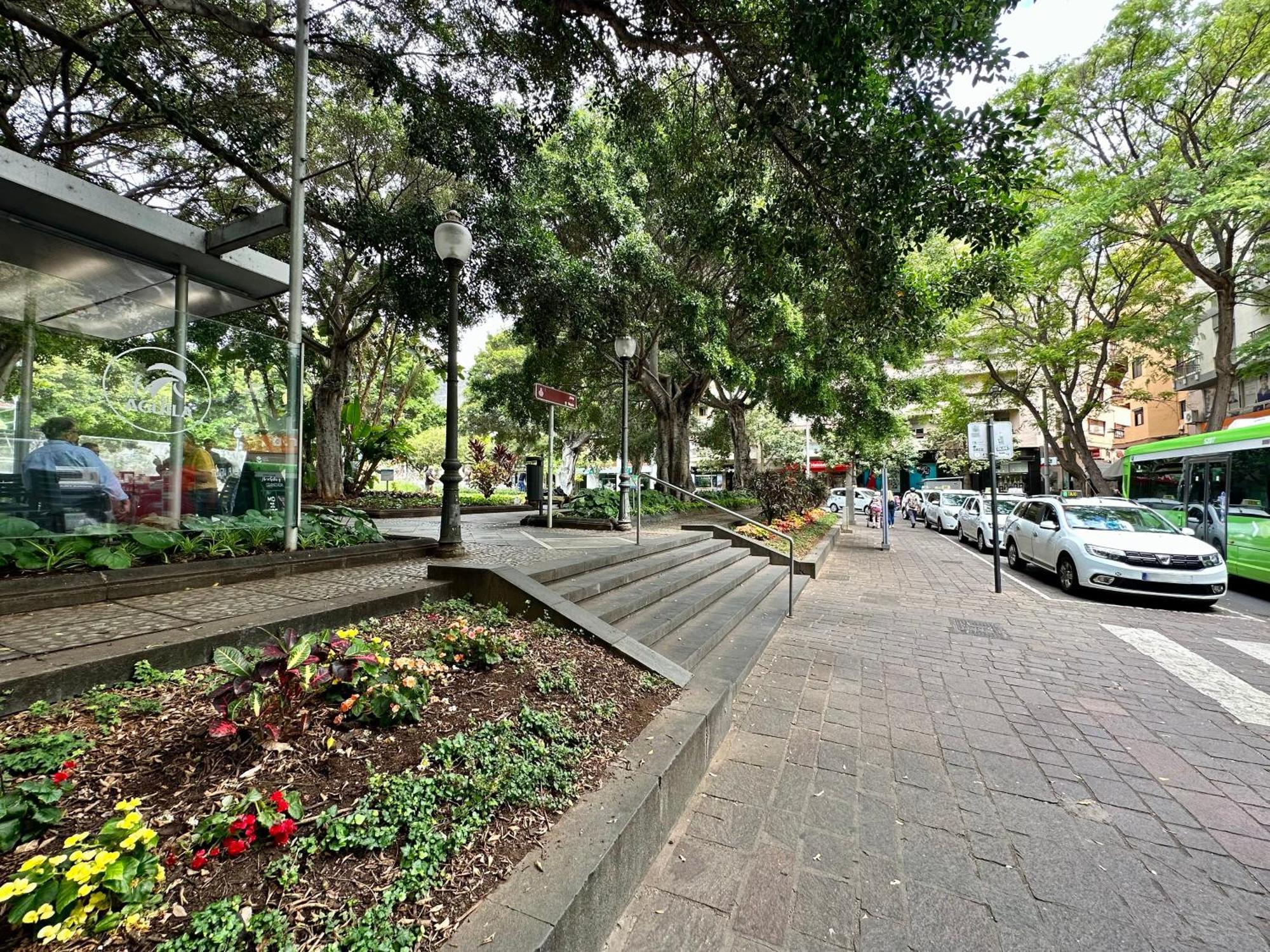 Sabino Street Apartment Santa Cruz de Tenerife Dış mekan fotoğraf